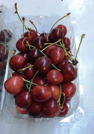 IMG-20160621-WA0004