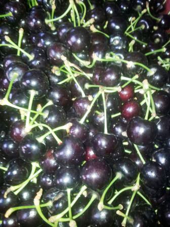 IMG-20161001-WA0018